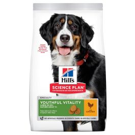 Hill's Pienso para Perros Adultos Mayores Vitality Raza Grande Sabor Pollo 14 kg Precio: 90.4999997. SKU: B1AJQWL2T9