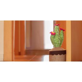 Tope textil sujetapuertas 1kg cactus verde. inofix