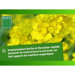 Fertilizantes Verdes - BHS - Mostaza Blanca 500g | 100 m² | Mejora y desinfecta los suelos para una mejor fertilidad. Fertilizantes Verdes - BHS - Mostaza Blanca 500g | 100 m² | Mejora y desinfecta los suelos para una mejor fertilidad.