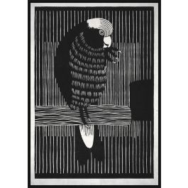 DKD Home Decor Cuadro Decorativo Moderno con Motivo Cacatua Negro Blanco 123x83 cm en PS y Lienzo (Juego de 2 Unidades Surtidas)