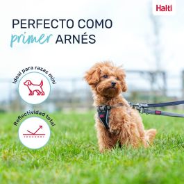 Halti Arnés Anatomy para Cachorro y Perro Pequeño Ajustable Reflector Talla XXS Cuerpo 21-30cm Cuello 22-30cm Gris