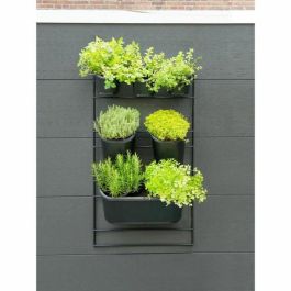 Jardinera de pared - Kit soporte de pared + 3 macetas (0,9L) + 2 macetas (2,5L) + 1 jardinera (5,4L) - Negro - Al 84 x L 48 cm - NATURE