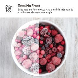 Frigorífico combinado LG GTBV22SWNJ Blanco