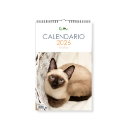 Liderpapel Calendario Pared Imágenes Gatos 2026 para Escribir 25x40 cm Papel 157 gr Espiral