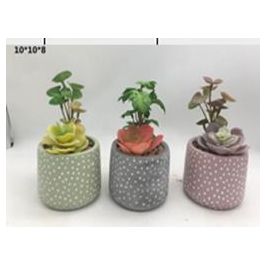 DKD Home Decor Planta Artificial Decorativa Set de 6 Unidades de 18 cm de Alto con Maceta de Cemento y PE Colores Surtidos Precio: 20.62566. SKU: B1DP6W685H