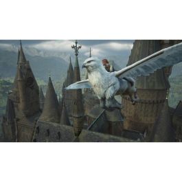 Warner Games Hogwarts Legacy: El legado de Hogwarts Juego para Nintendo Switch WAR5051889748533