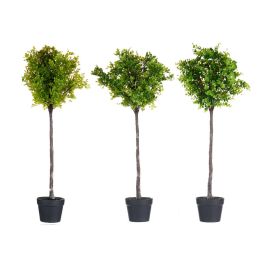 Arbol Helecho Verde Surtidos Ibergarden 35X96CM (3 Unidades) Arbol Helecho Verde Surtidos Ibergarden 35X96CM (3 Unidades)