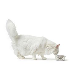 Hunter Comedero para Mascotas Namy de Acero Inoxidable 1050 ml. Diseño Diamante con Base Antideslizante. Apto Lavavajillas. Hunter Comedero para Mascotas Namy de Acero Inoxidable 1050 ml. Diseño Diamante con Base Antideslizante. Apto Lavavajillas.