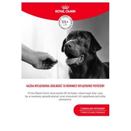 Snack para Perros Royal Canin Supplements Dog Digestion Adult 160 g Snack para Perros Royal Canin Supplements Dog Digestion Adult 160 g
