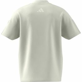 Camiseta de Manga Corta Hombre Adidas All Szn Graphic Seasonal Blanco