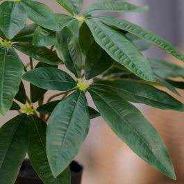 Day Planta Artificial Castaña Agua Plástico