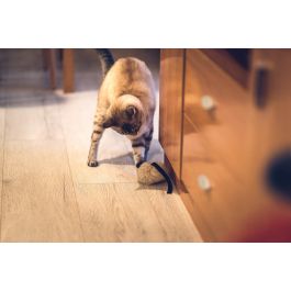 Gloria Juguete Ratoncito Calatrava para Gato, Piel de Conejo 100% Natural y Sostenible | Activa Instinto de Caza Felino, Fabricado en España