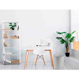 Q-connect Papelera KF00610 Plástico Gris Opaco 13 Litros Ø21 x 29 cm