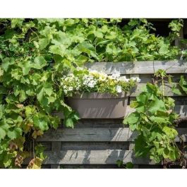Garden Id 05011907 Jardinera con gancho Star Taupe 50x21 cm - Fácil fijación, Reserva de agua, Reciclada