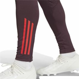 Pantalón Largo Deportivo Adidas Fc Bayern 24/25 Tiro24 Marrón Granate Hombre