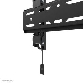 Neomounts WL30S-850BL12 Soporte TV Fijo Pared, 24-65", Max 40 kg, VESA 50x50-200x200, Profundidad 3,3cm, Ajuste Nivel, Negro