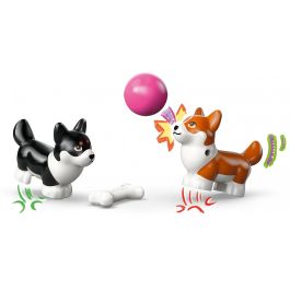 LEGO 42641 Friends Mascotas Surferas y Aventura sobre Ruedas, Set de Construcción de Playa con Corgis y 2 Minipersonajes, Juguete para Niños +6 años