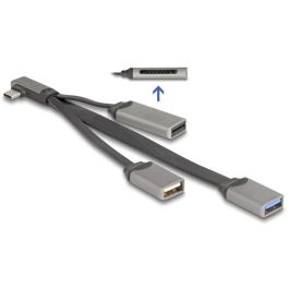 DeLOCK 64303 - Hub USB 2 Puertos con Lector de Tarjetas SD y Micro SD, USB Type-C, USB 2.0 y USB 3.2 Gen 1