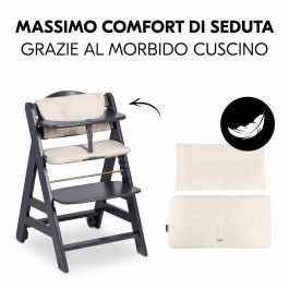 HAUCK HAU1731627400690 Trona Evolutiva BETA+ de Madera FSC con Arnés de 5 Puntos y Ruedas para Bebés de 6 Meses a 90 kg, Gris