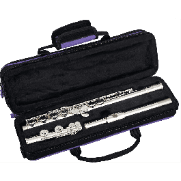 Flauta Travesera Tapada Fl400E Precio: 302.78999949. SKU: B18ANNN5HT
