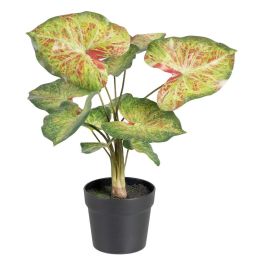 Planta Decorativa 48 x 46 x 55 cm Rojo Verde PVC Precio: 20.78999978. SKU: S8801664