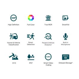 Videocámara de Vigilancia TP-Link VIGI C250(4MM)