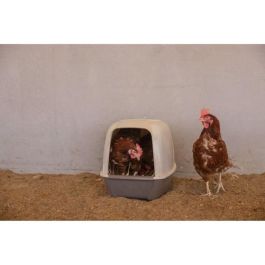 Caja nido para gallinas - KERBL - 52 x 39 x 39 cm Precio: 32.49999984. SKU: B19WXNG24F