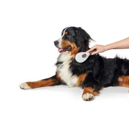 Hunter Cepillo Autolimpiable Talla S con Botón Integrado para Retirar Pelo Muerto, Empuñadura Ergonómica Marrón para Perros. Hunter Cepillo Autolimpiable Talla S con Botón Integrado para Retirar Pelo Muerto, Empuñadura Ergonómica Marrón para Perros.