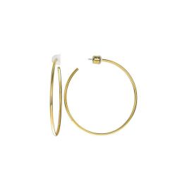 Pendientes Mujer Michael Kors MKJ4828710 Acero Inoxidable Dorado Precio: 75.68999999. SKU: B15MHAGJVF