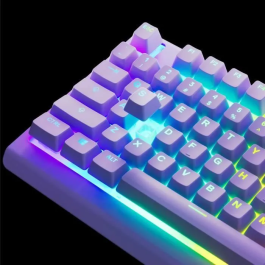 Steelseries STE5707119066150 Teclado para Juegos con Cable Apex 3 TKL Azerty Lavanda