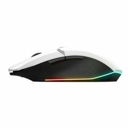 Teclado y Ratón Gaming Trust 25233 GXT794W
