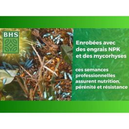 BHS BHS3366670322789 Césped inglés 3 kg para jardines premium