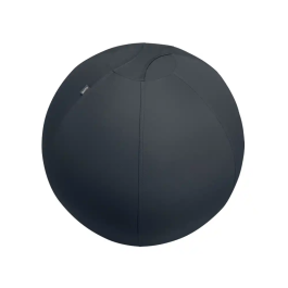 Leitz Balón de Asiento Active 75 cm Antideslizante Gris Oscuro Precio: 114.99000018. SKU: B1ACKDHEYJ