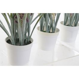 Planta DKD Home Decor Amarillo Burdeos 9 x 28 x 9 cm (12 Unidades) Planta DKD Home Decor Amarillo Burdeos 9 x 28 x 9 cm (12 Unidades)