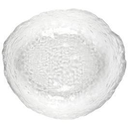 Home Deco Factory Ensaladera 1 L Diámetro 19,5 cm Forma Irregular