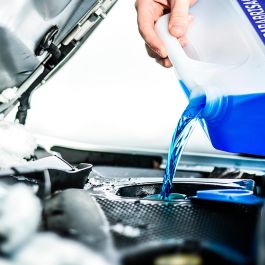 Limpiaparabrisas OCC Motorsport OCC20326 Anticongelante (5 L)