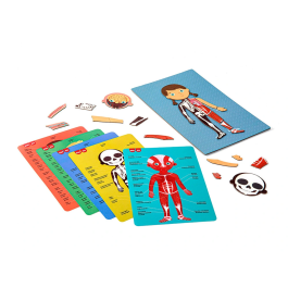 Apli Kids Juego Magnético El Cuerpo Humano 18531 Educativo con 63 Imanes y Escenario Extraíble para Aprender Anatomía +5 Años