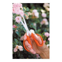 Stocker Tijera para florista 19,5 cm - Prácticas y ligeras para cortar flores y ramas finas