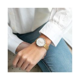 Reloj Mujer Mr. Wonderful WR80101 Reloj Mujer Mr. Wonderful WR80101