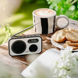 Adler Radio digital PLL AM/FM AD1906 con sintonización automática, pantalla LCD, reloj y alarma, USB-C/Batería, 12,5 x 3 x 7,5 cm