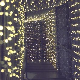 LUMI GARDEN Guirnalda luminosa de bola Billy Solar - Luz blanca - 60 bolas - 700 cm LUMI GARDEN Guirnalda luminosa de bola Billy Solar - Luz blanca - 60 bolas - 700 cm