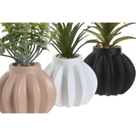 DKD Home Decor Planta Artificial Scandi Crema y Negra 13cm (Set de 6 Unidades) Decoración Hogar