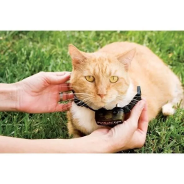 Petsafe Valla Anti Gato PCF-1000-20 Anti-Runaway para Gatos Mayores de 2,7 kg