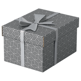 Esselte 628281 Pack 3 Cajas de Almacenaje Grises 255x200x150mm Cartón Reciclado Tapa Extraíble