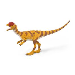 Dilophosaurus Escala 1:40 - L - 88923 - Collecta Precio: 7.9618. SKU: B1JSZSSLCW