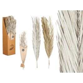 Ramillete Hojas Palmera Surt Blanco y Natural Giftdecor 20x100x4 cm (20 Unidades) Precio: 44.79000009. SKU: B1D7XZNSDH