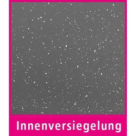 GSW Cacerola de Inducción Greblon con Porta Ollas - 8.5 Litros