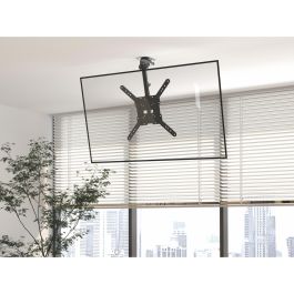 Equip Soporte Techo TV 23"-55" 650375, VESA 400x400, Carga 20kg, Ajuste Altura e Inclinación