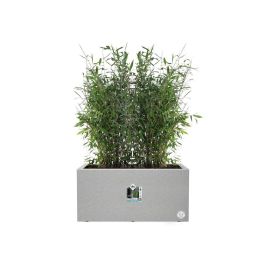 Elho ELH8711904499648 Jardinera Vivo Next Long 60 Gris L 59 x B 30 x H 29 cm para interior/exterior 100% reciclada