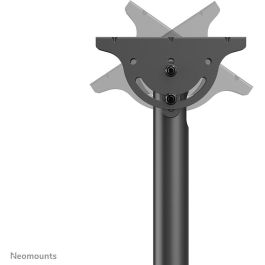 Soporte de Mesa para Pantalla Neomounts CL35-440BL16L 70" 37" 50 kg